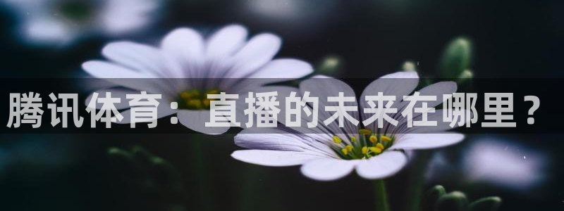 劲爆体育电视台直播：腾讯体育：直播的未来在哪里？