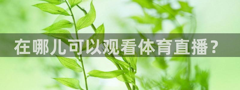 上海劲爆体育nba直播：在哪儿可以观看体育直播？