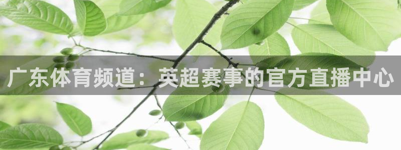 劲爆体育在线直播nba高清：广东体育频道：英超赛事的官方直播中心