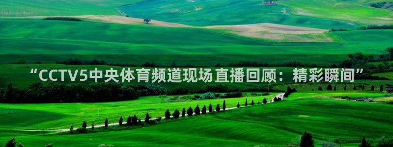 劲爆体育直播高清：“CCTV5中央体育频道现场直播回顾：精彩瞬间”