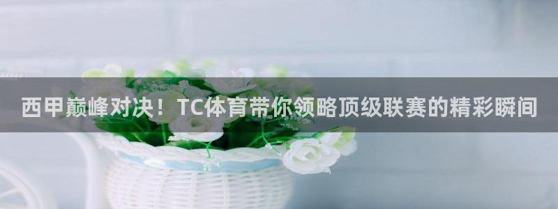 劲爆体育在线直播观看上海三打一
