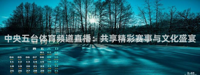 劲爆体育 直播：中央五台体育频道直播：共享精彩赛事与文化盛宴
