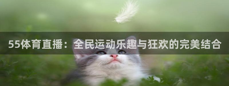 劲爆体育nba直播吧：55体育直播：全民运动乐趣与狂欢的完美结合